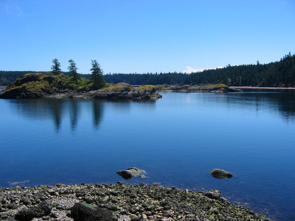 Gowlland Harbour Resort Heriot Bay Quarto foto